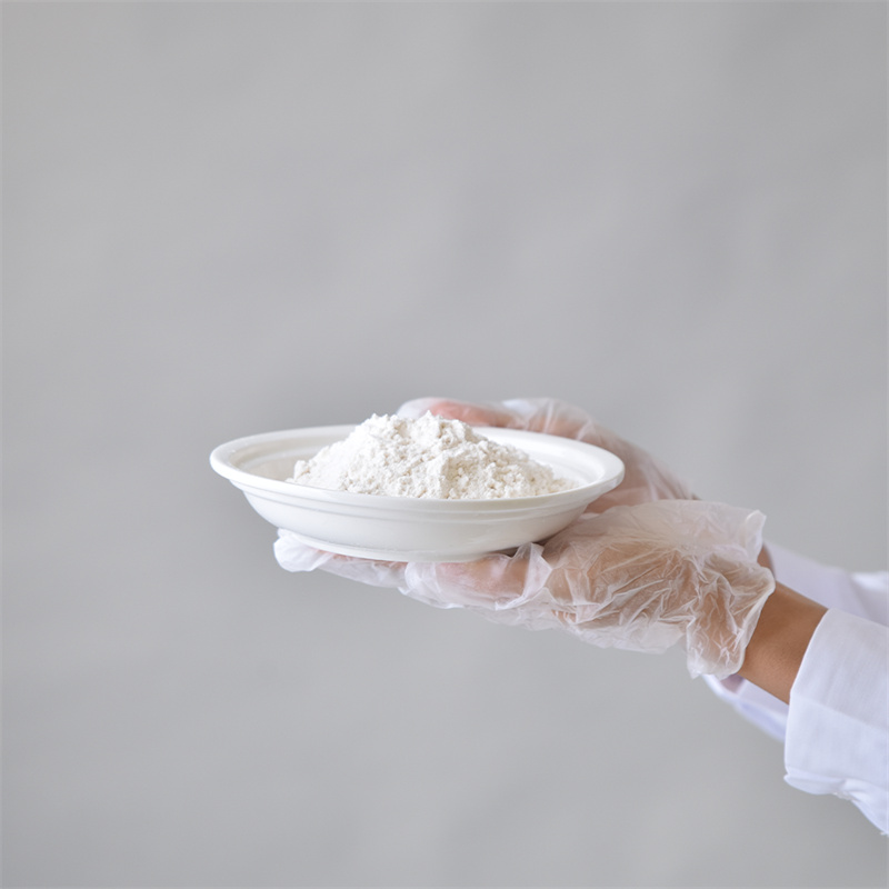 Muối dinatri Adenosine 5â-triphosphate CAS 987-65-5