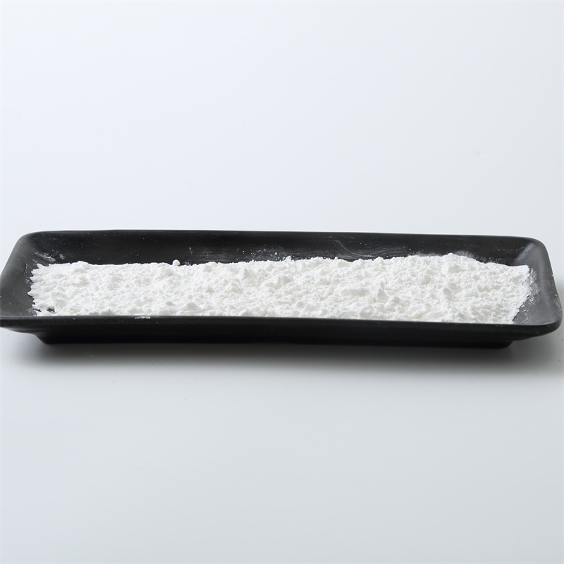 Titan dioxit CAS 13463-67-7